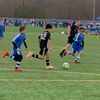 andyherboom7352